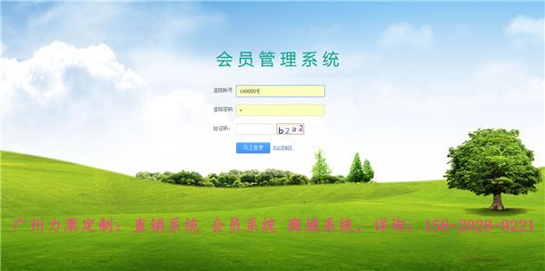 广州力莱软件开发技术特点与定制流程介绍